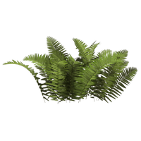 Download Shrub Bushes Free PNG photo images and clipart | FreePNGImg