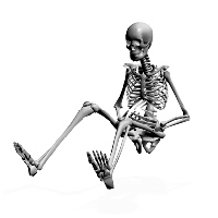 Download Skeleton Free PNG photo images and clipart | FreePNGImg