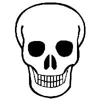Skull Png Image PNG