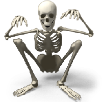 Download Skeleton Free PNG photo images and clipart | FreePNGImg