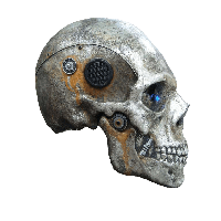 Skull Png Image PNG