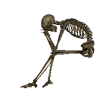 Skeleton Png Image PNG