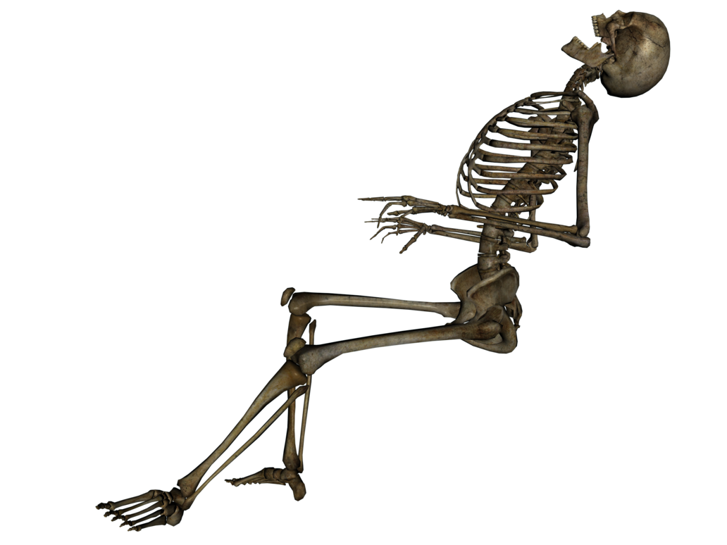 Skeleton Free Download Png PNG Image