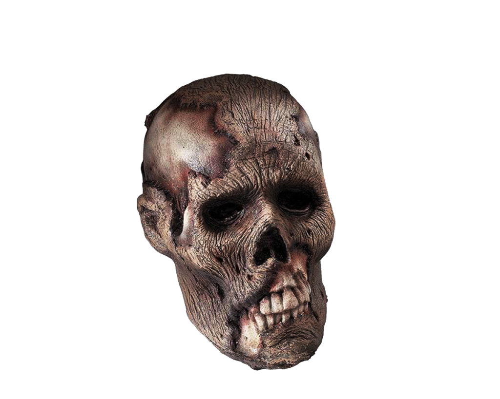 Skeleton Head Png Clipart PNG Image