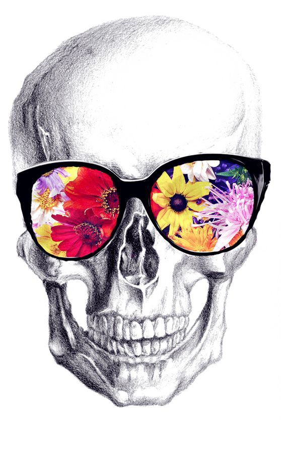 Calavera Art Drawing Skull Download Free Image PNG Image