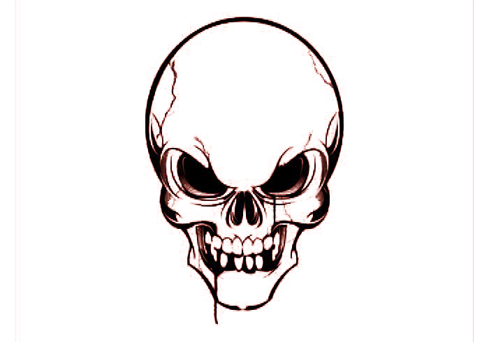 Euclidean Vector Skull Free Clipart HQ PNG Image