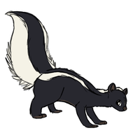 Skunk Transparent PNG
