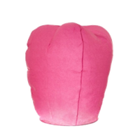 Sky lantern Transparent PNG Image