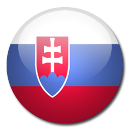 Slovakia Flag Picture PNG Image