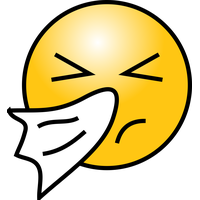 Smiley Transparent PNG Image