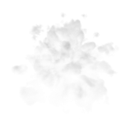 Smoke Transparent PNG Image