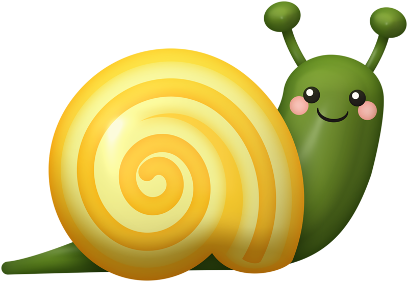 Snail Transparent PNG Image