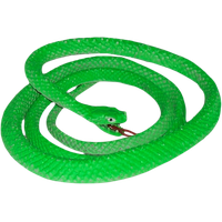 Download Snake Free PNG photo images and clipart | FreePNGImg