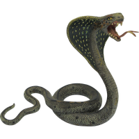 Cobra PNG - Download Free & Premium Transparent Cobra PNG Images Online -  Creative Fabrica