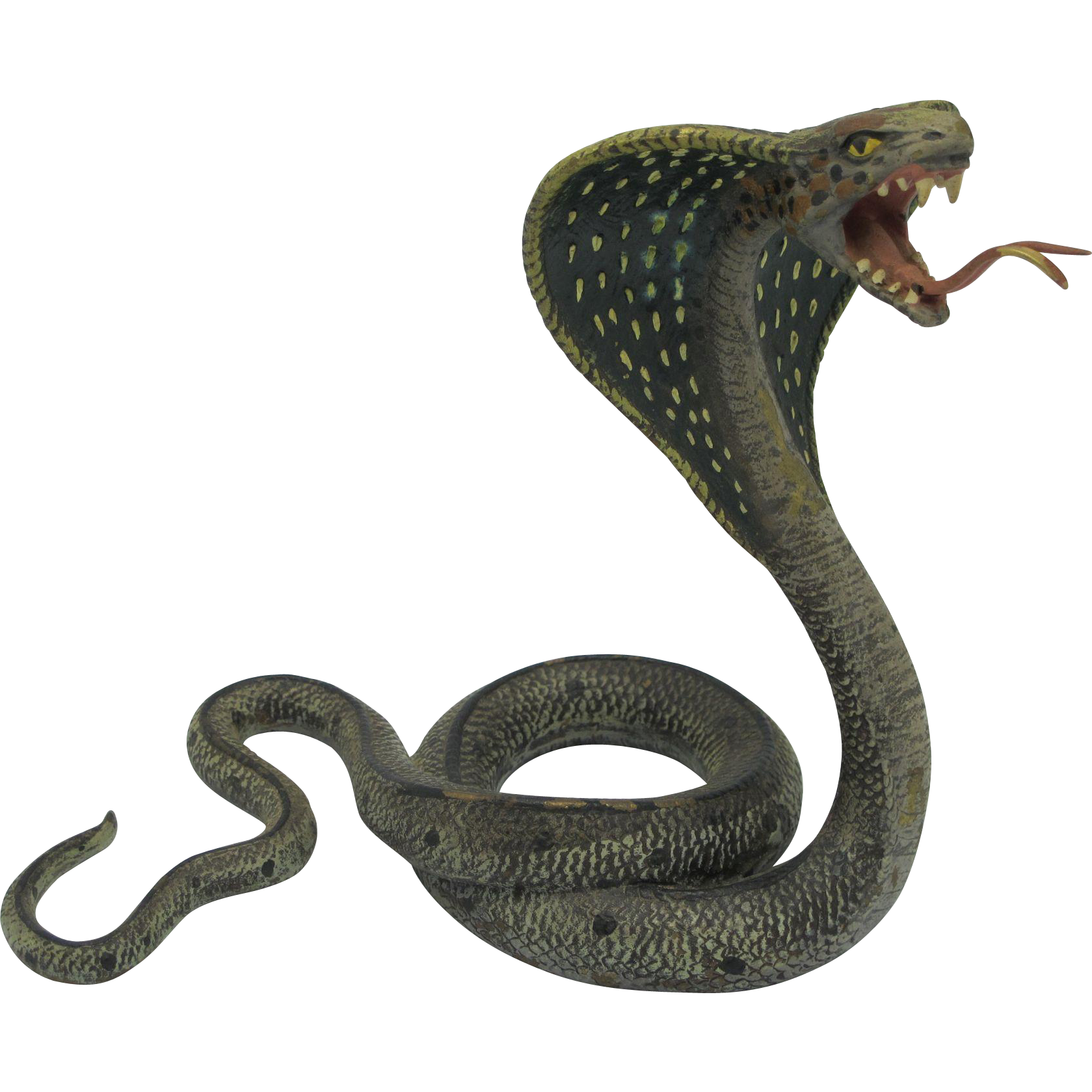 Cobra Snake Photos Transparent PNG Image