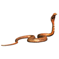 Snake PNG