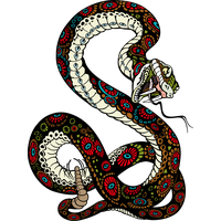 Tiger Lion Vector Snake Illustration PNG Free Photo