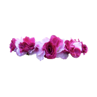 Download Snapchat Flower Crown Image HQ PNG Image | FreePNGImg
