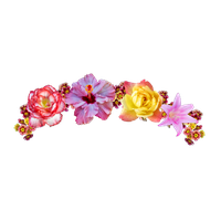 Download Snapchat Flower Crown Image HQ PNG Image | FreePNGImg
