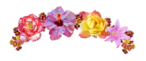 Snapchat Flower Crown Picture PNG Image