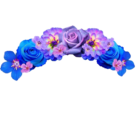 Snapchat Flower Crown Transparent Background PNG Image