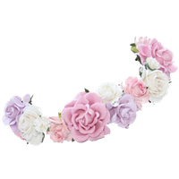 Snapchat Flower Crown Photos PNG Image