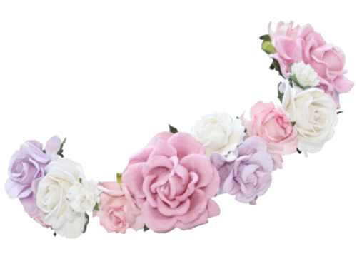 pink flower crown transparent