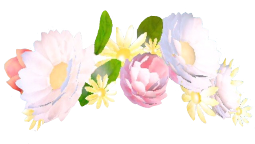 Snapchat Flower Crown File PNG Image