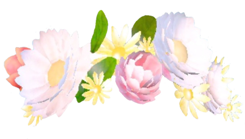 Snapchat Flower Crown File Transparent PNG Image