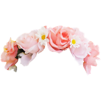 Snapchat Flower Crown Photo PNG Image