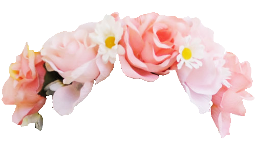 Snapchat Flower Crown Photo PNG Image