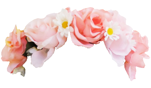 Download Snapchat Flower Crown Photo HQ PNG Image | FreePNGImg