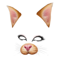 Download Snapchat Filters Free PNG photo images and clipart | FreePNGimg