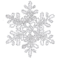 Download Snowflake Png Image HQ PNG Image | FreePNGImg
