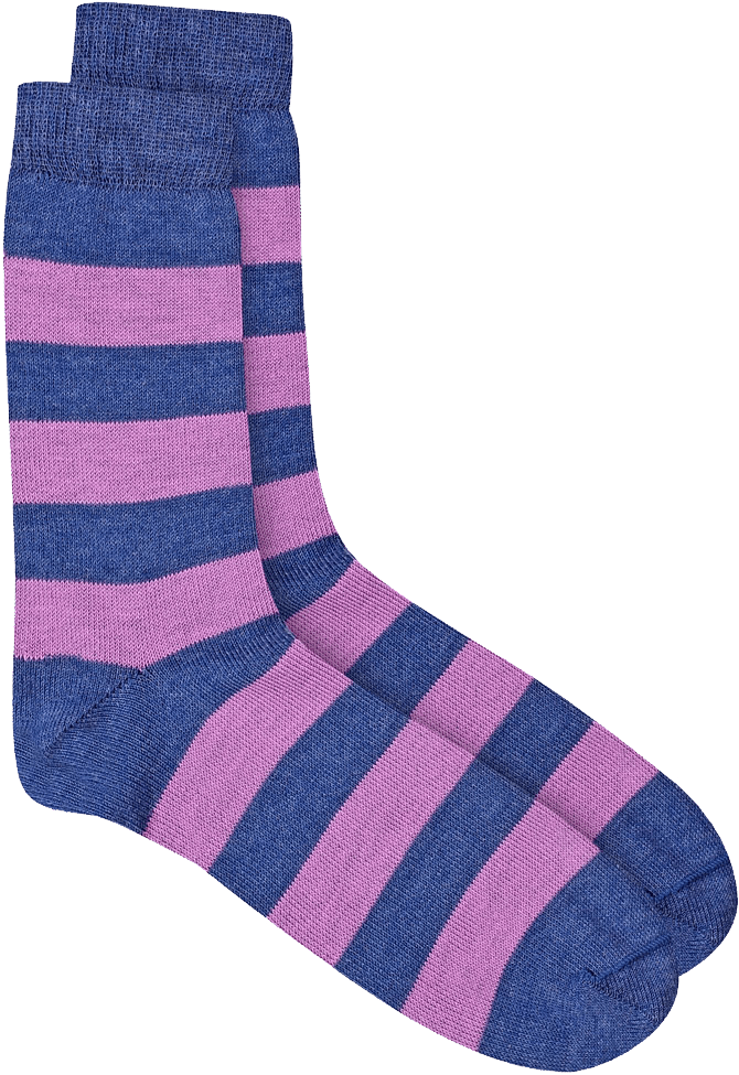Bluey Socks PNG