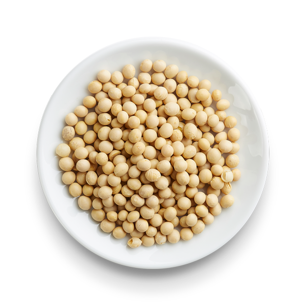 Soybean Transparent PNG Image