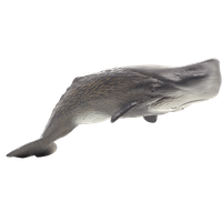 Sperm whale PNG