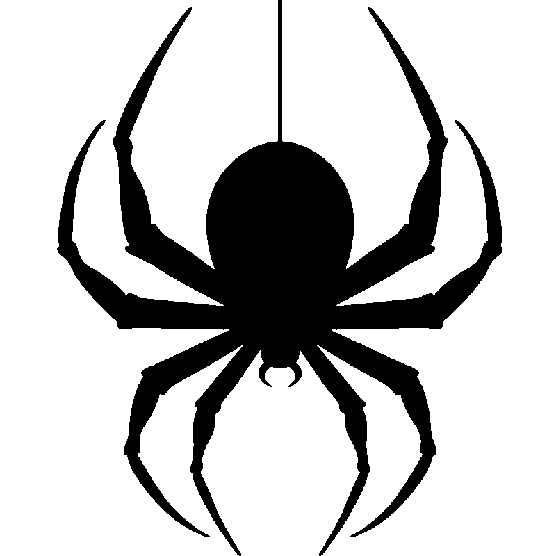 Hanging Spider Transparent Image PNG Image