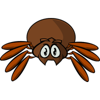 Download Spider Free PNG photo images and clipart | FreePNGImg