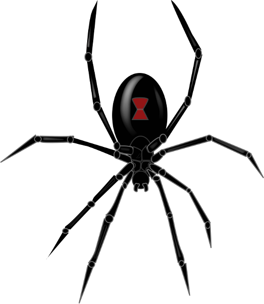 Spider File PNG Image