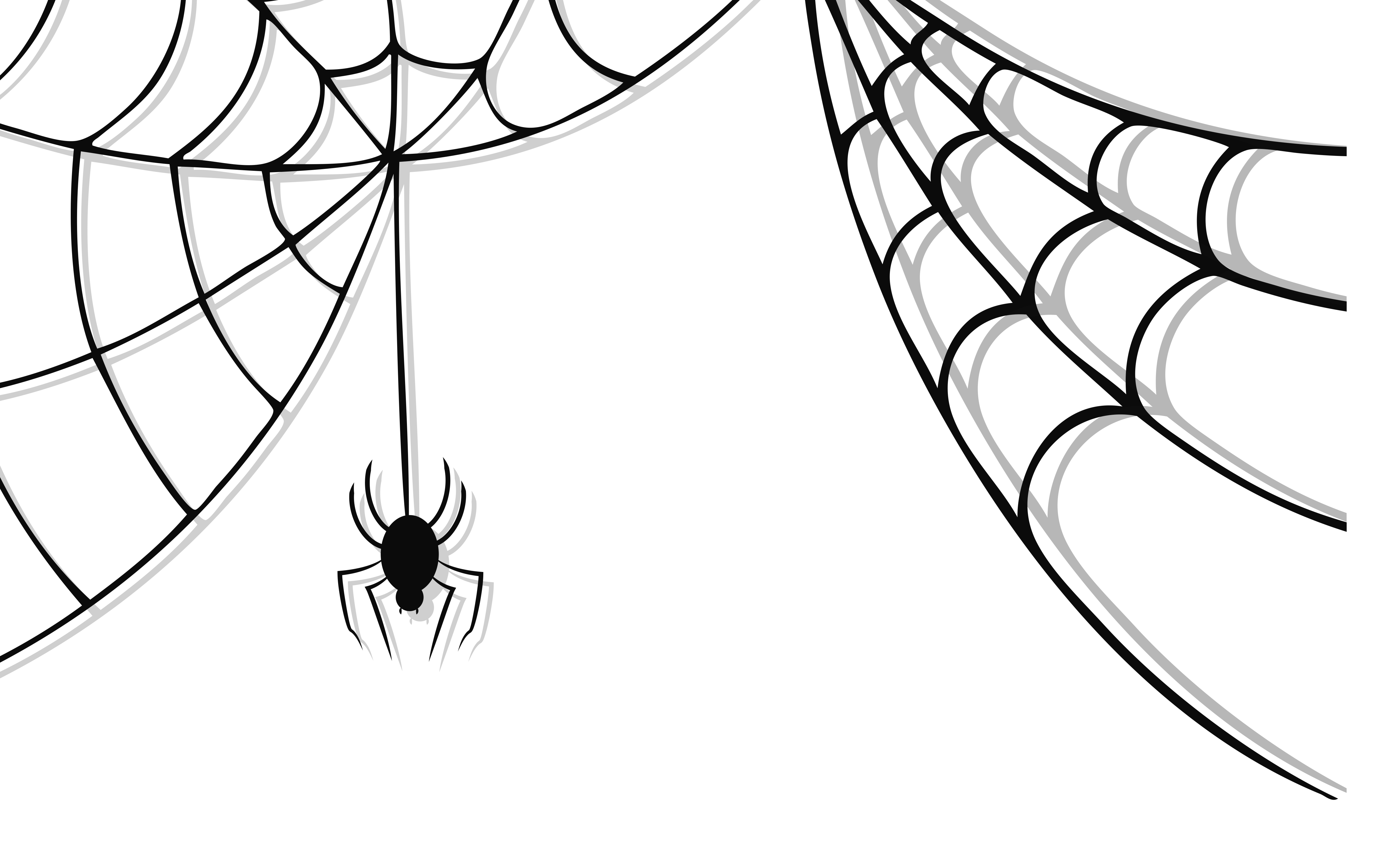 Cute Spider Image PNG Image