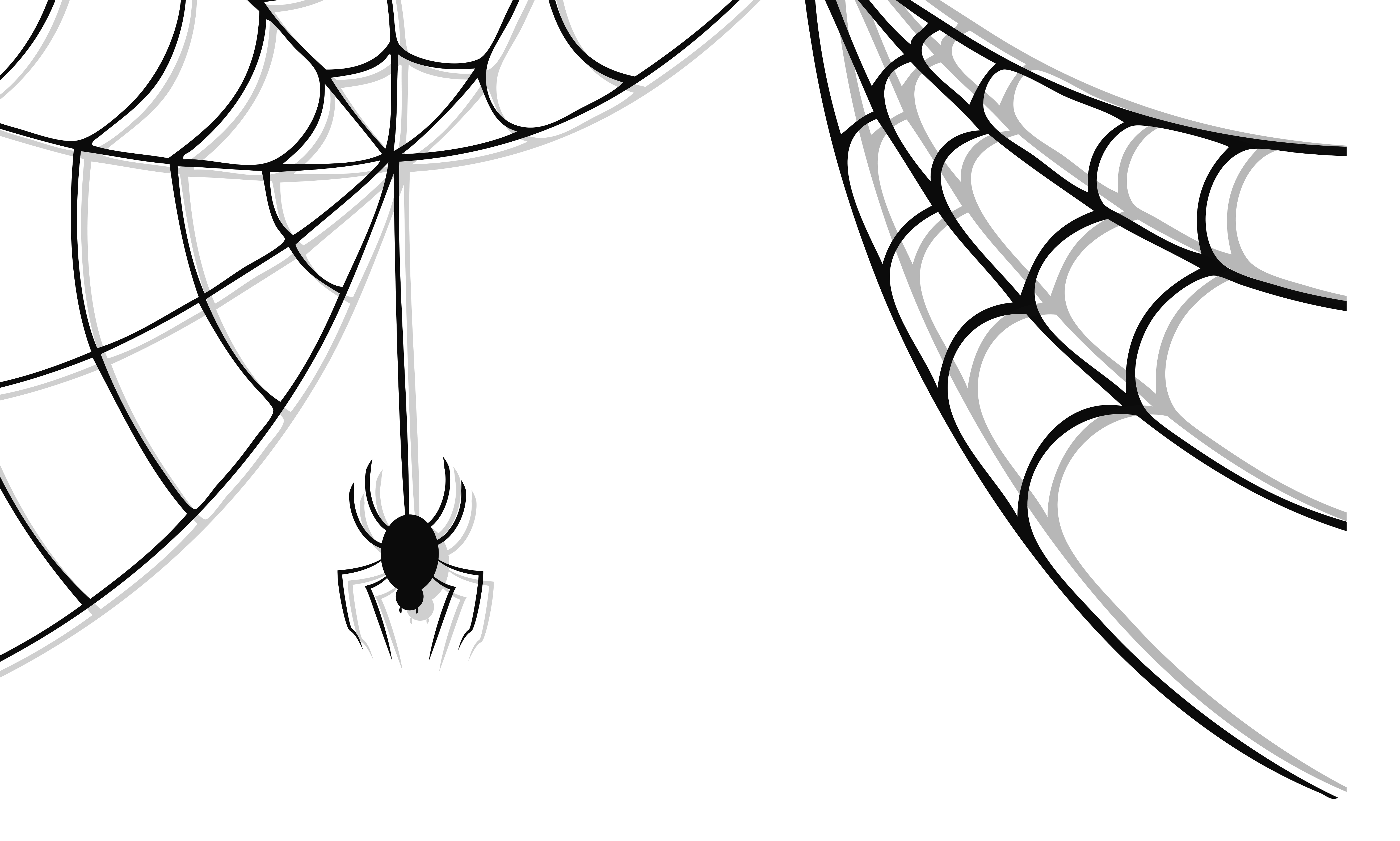 download-cute-spider-image-hq-png-image-freepngimg