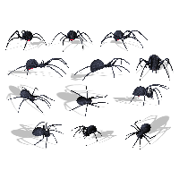 Cute Spider Transparent Background Transparent HQ PNG Download | FreePNGImg