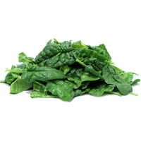 Fresh Green Spinach PNG Free Photo PNG Image