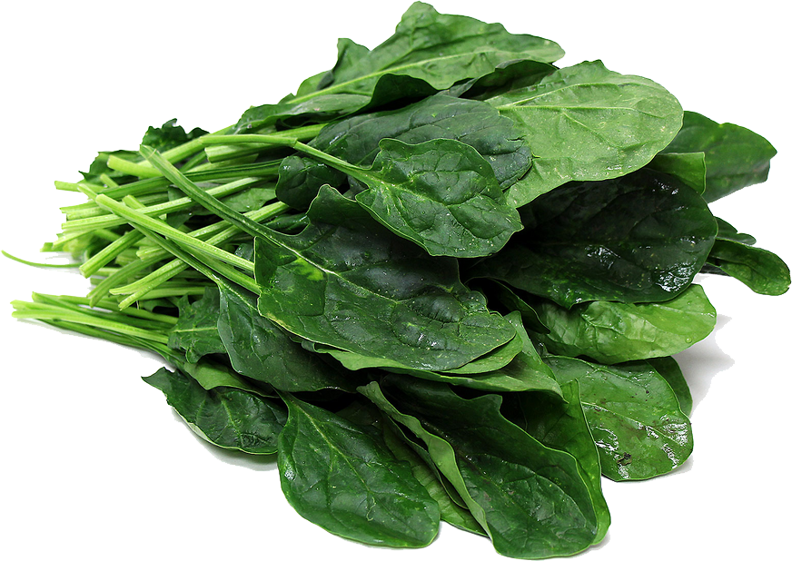 Fresh Green Spinach Free Download PNG HD PNG Image
