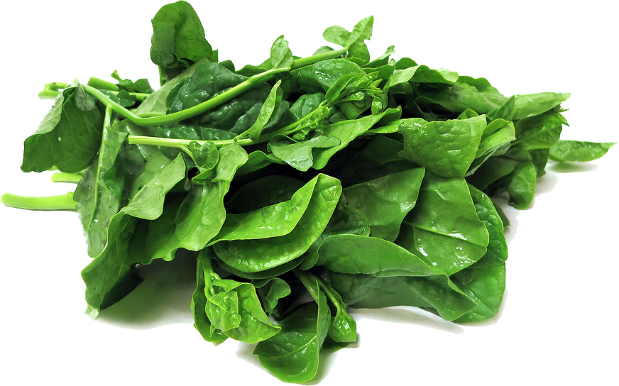 Fresh Green Photos Spinach Free PNG HQ PNG Image