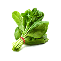 Fresh Green Spinach PNG File HD PNG Image