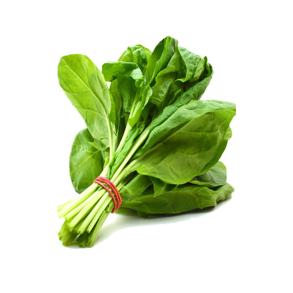 Fresh Green Spinach PNG File HD Transparent PNG Image