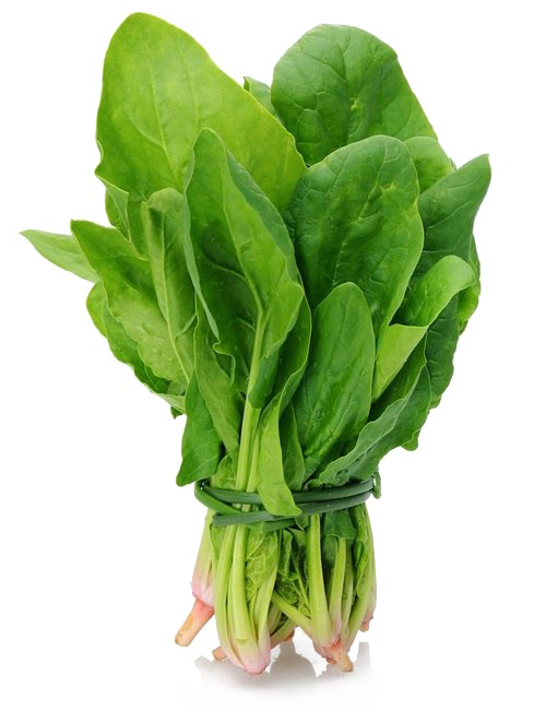 Fresh Green Spinach PNG Image High Quality PNG Image