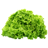 Green Spinach Free Clipart HQ PNG Image